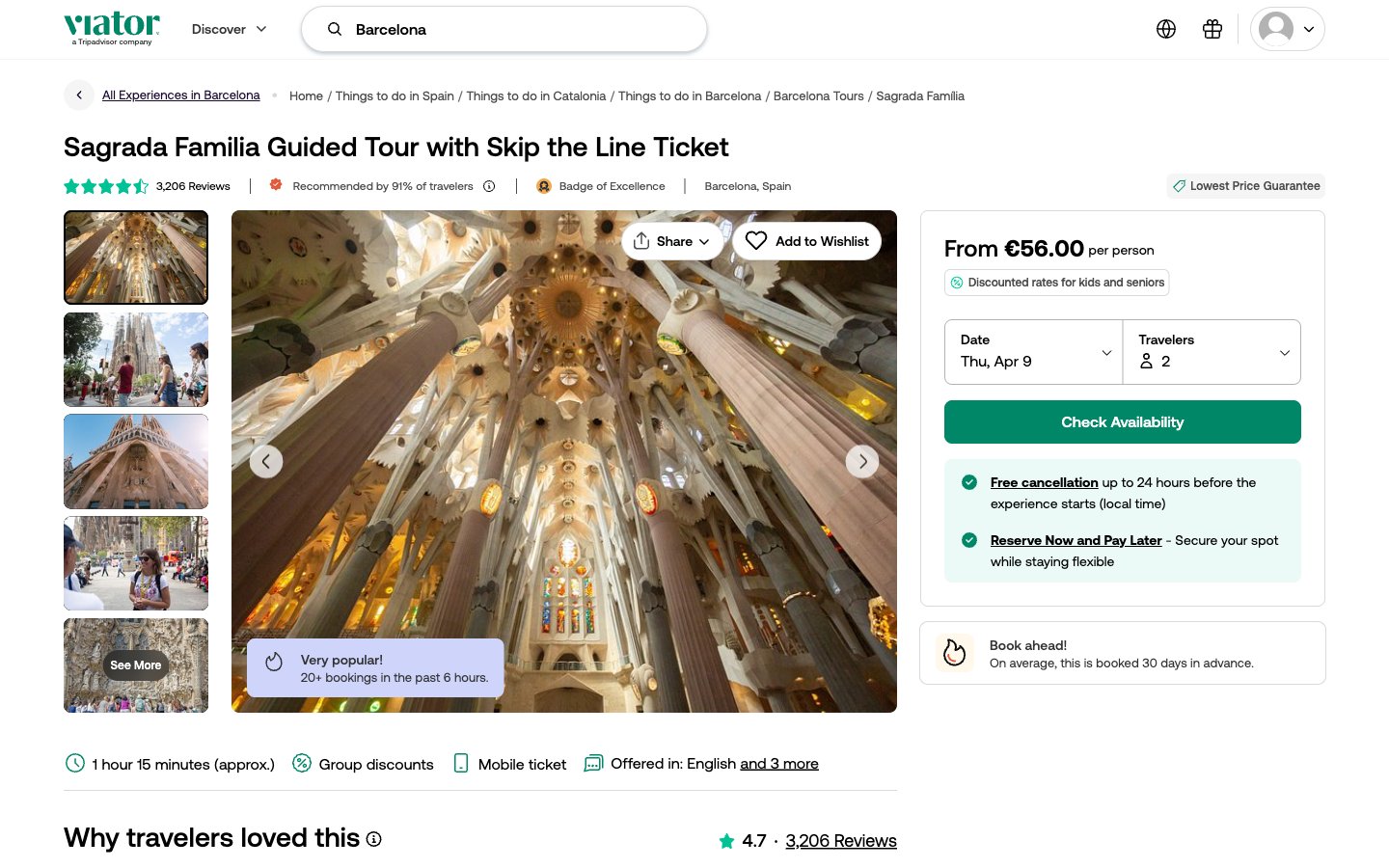 Viator Producto con fecha Desktop